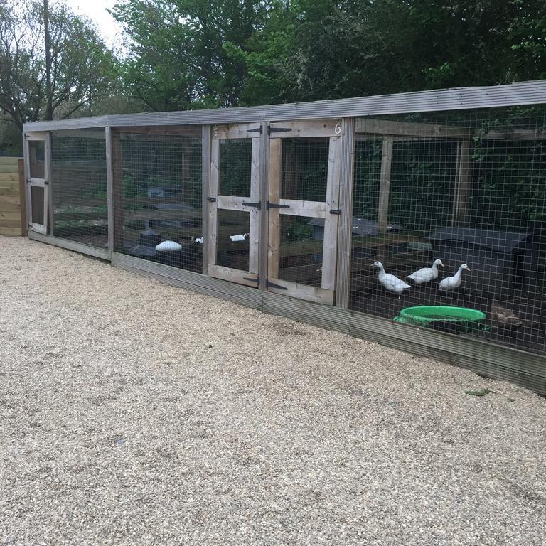 Willow Court Farm The Lodge & Petting Farm, 8 Mins From Legoland & Windsor, 15 Mins From Lapland Uk 外观 照片