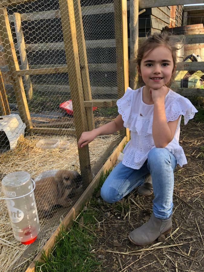 Willow Court Farm The Lodge & Petting Farm, 8 Mins From Legoland & Windsor, 15 Mins From Lapland Uk 外观 照片