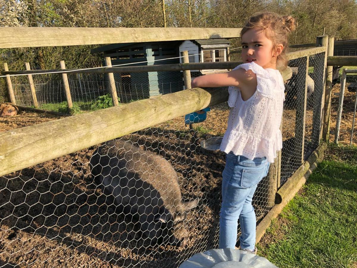 Willow Court Farm The Lodge & Petting Farm, 8 Mins From Legoland & Windsor, 15 Mins From Lapland Uk 外观 照片